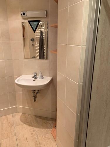 OelsnitzKathrin`s Appartment的一间带水槽和镜子的浴室