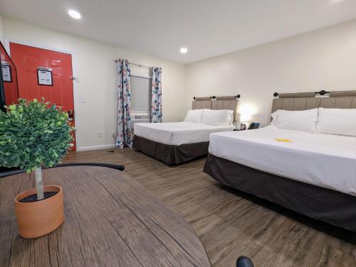 DunlapThe Honey Bee Motel的酒店客房设有两张床和盆栽植物