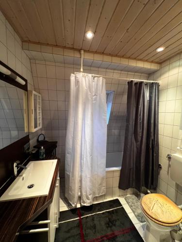 纽伦堡Anno 1919的带淋浴帘和卫生间的浴室