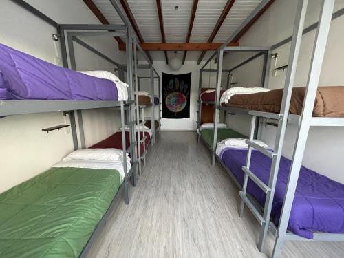 Rada TillyRoots Backpackers的宿舍间内带4张双层床的客房