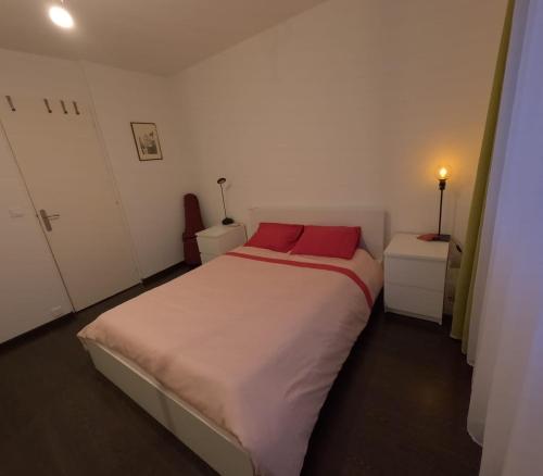 里昂Calme chambre Maya的卧室配有带红色枕头的大型白色床