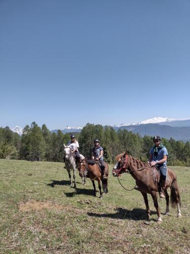 CurarrehueHabitación Establo de Caballos的一群在田野里骑马的人