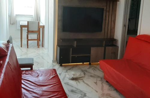 里约热内卢Apartamento encantador com vaga de garagem的带沙发和平面电视的客厅