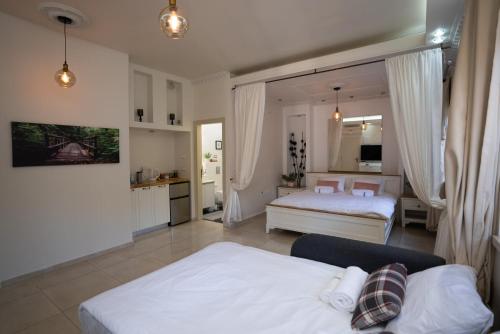 ManotVilla Magnolia in Manot的酒店客房带两张床和厨房