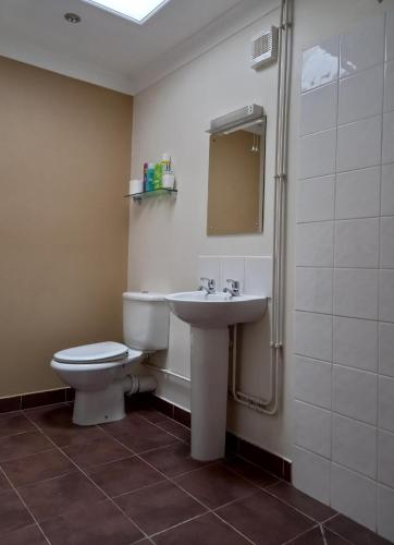 科尔切斯特Donkey & Buskins的一间带水槽、卫生间和镜子的浴室