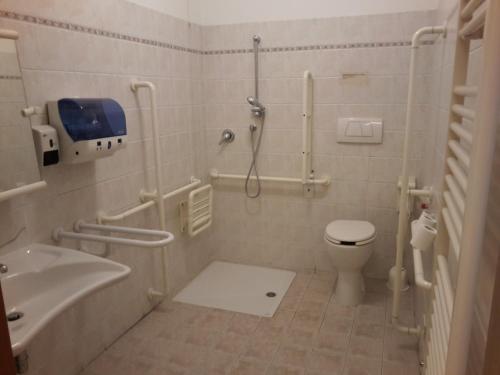 佛罗伦萨阿尔伯格索尼亚酒店的带淋浴、卫生间和盥洗盆的浴室