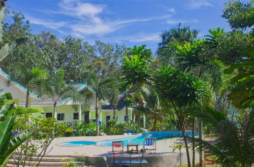 麦岛海景度假村的一个带游泳池和棕榈树的度假村