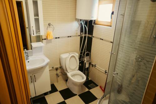 佩奇Villa Route Rugove的一间带卫生间和水槽的浴室