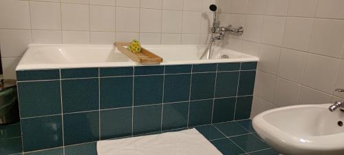 克拉尼斯卡戈拉Apartma 198的带浴缸和盥洗盆的浴室