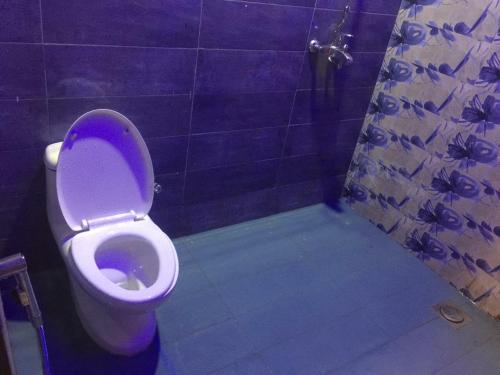 拉合尔Continental Girls Hostel UCP的浴室配有带紫色座椅的卫生间