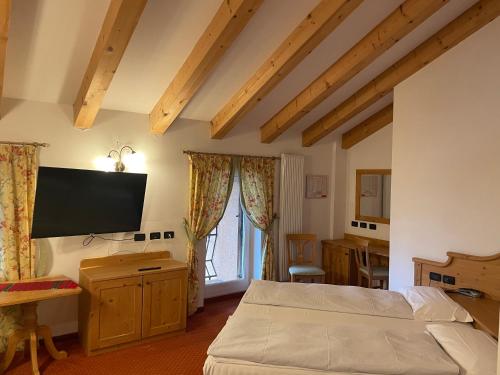 罗恩佐斯特拉阿尔皮康体和度假酒店的一间卧室配有一张床和一台平面电视