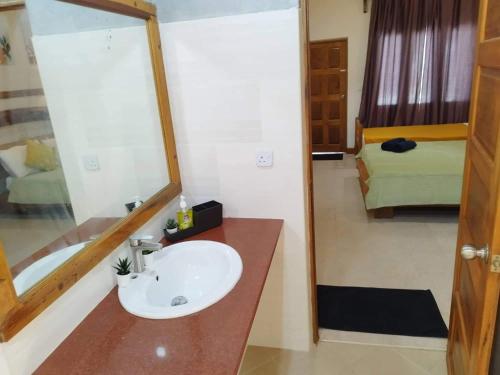 ThinadhooReethi Villa Vaavu Thinadhoo的一间带水槽和镜子的浴室以及一张床