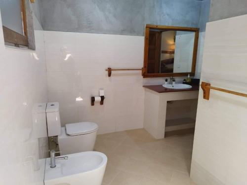 ThinadhooReethi Villa Vaavu Thinadhoo的一间带卫生间、水槽和镜子的浴室