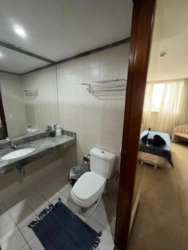 塔瓜汀加Flat em Taguatinga的一间带卫生间、水槽和镜子的浴室