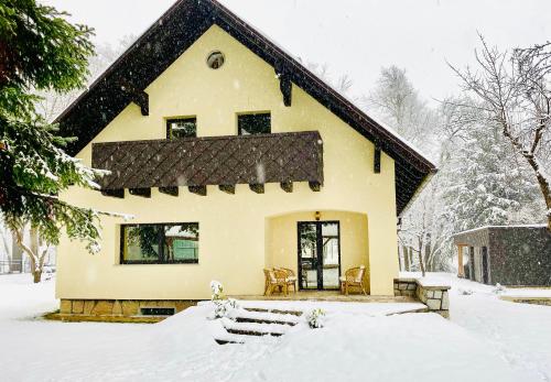 Ravne na KoroškemVila Park Ravne的院子里的雪覆盖的房子