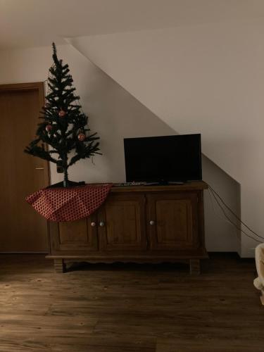 SchwentinentalSchöneWohnung mit eigenem Gsrten und Eingang的坐在一个装有电视的梳妆台上的圣诞树