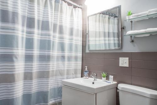 纽黑文Gorgeous 1BR Wooster Sq. apt. - wshr/dryr, parking的一间带水槽和淋浴帘的浴室