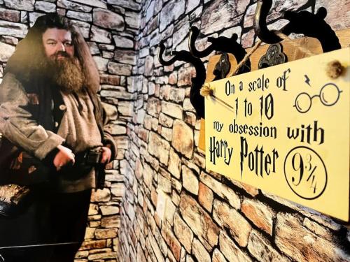 沃特福德Hagrid's Hut的一面墙上挂着标志的人的画