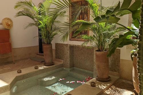 马拉喀什Riad Dar Eternity的植物间里的水池