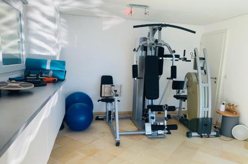 阿泽尔La Romély的一间设有健身器材的健身房的房间