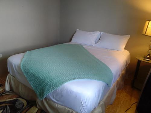 Tortola IslandAbigail's Spectacular 2 bedrooms-Entire Apartment的一张床上的绿毯