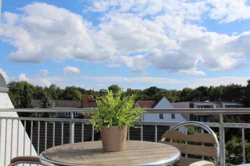 明斯特StadtHeimat29的坐在阳台上桌子上的盆栽植物