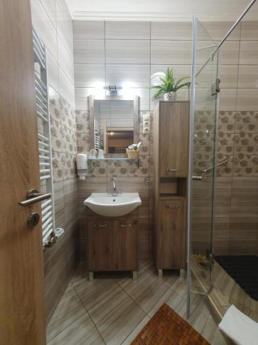 莫劳豪洛姆Harmony apartments的一间带水槽和淋浴的浴室