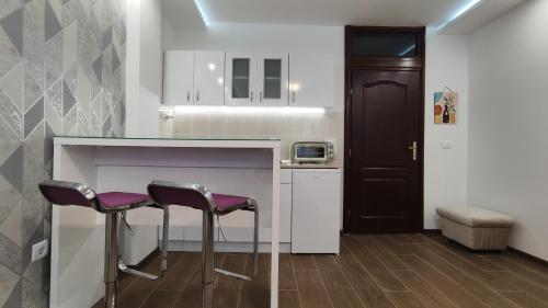 弗尔尼亚奇卡矿泉镇Apartman Vivaldi - CENTAR的厨房在柜台处设有两张紫色凳子