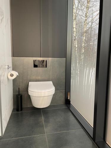 奥泰佩ÖÖD Hötels Metsajärve的一间带卫生间和滑动玻璃门的浴室