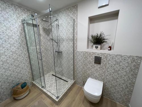 罗亚Roja Lux Apartment的带淋浴和卫生间的浴室