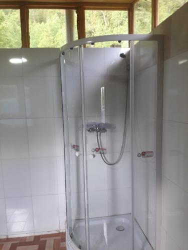 梅利佩乌科Alquimia del Hualle的浴室里设有玻璃门淋浴