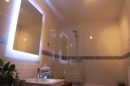 杜柏B&B Maison Durbois的带淋浴和盥洗盆的浴室
