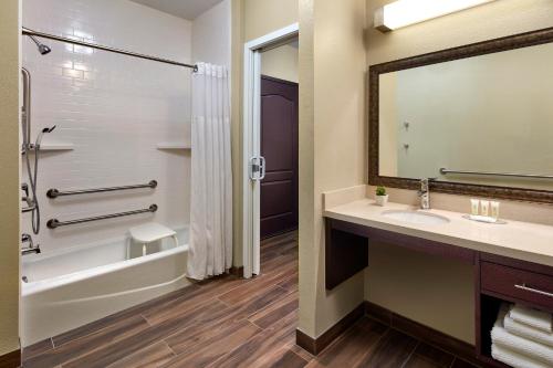 安纳海姆阿纳海姆公园驻桥套房假日酒店的一间带水槽、浴缸和淋浴的浴室