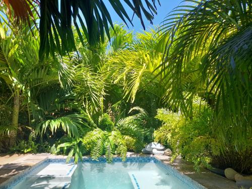 Dorp SotoApartment Panekoek的棕榈树花园内的游泳池
