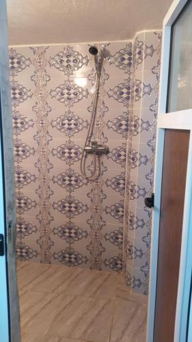 米德勒特Gite taouraout的浴室设有蓝色和白色瓷砖淋浴。