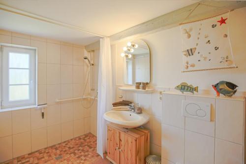 埃默尔斯比尔－霍斯比尔Freesenhuus Althorsbüll的一间带水槽和镜子的浴室