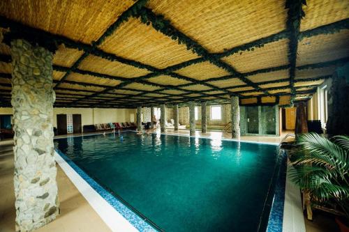 CiurilaPension Domeniul Regilor的一个带木制天花板的大型游泳池