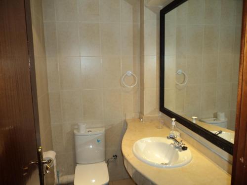 阿加迪尔Marina Apartment Agadir的一间带卫生间、水槽和镜子的浴室