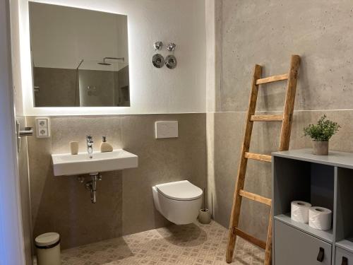 格门德蒂格斯Gmunder Premium Dachgeschoss-Apartments的一间带水槽、卫生间和镜子的浴室