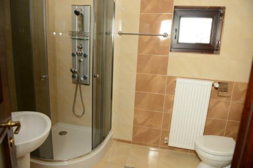 布拉索夫A&N旅馆的带淋浴、卫生间和盥洗盆的浴室