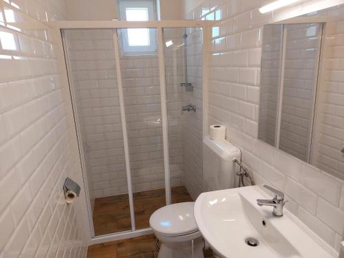 扎马迪Schieszl Apartments Zamárdi 4的浴室配有卫生间、盥洗盆和淋浴。