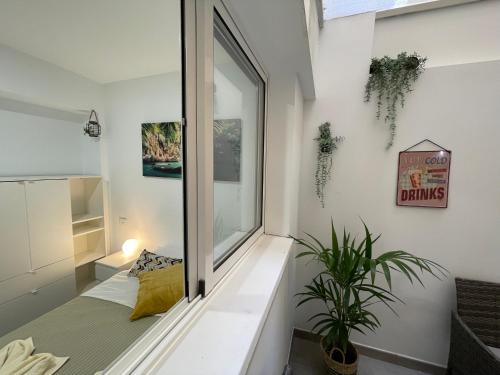 大加那利岛拉斯帕尔马斯CoLiving El Toro的一间设有窗户、床和植物的房间