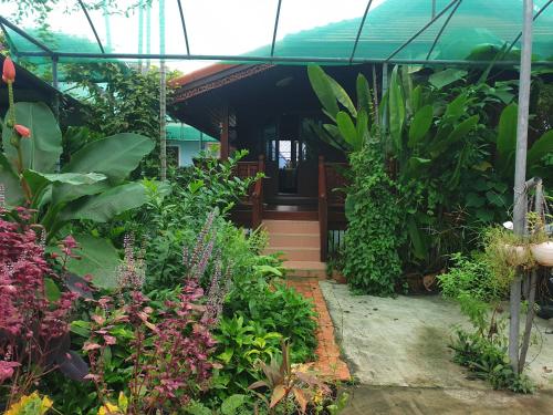 卡塔海滩Thai authentic wooden house at Kata的植物屋前的花园