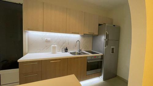 贝尔格莱德Filip Luxury Suite的厨房配有木制橱柜和不锈钢冰箱。