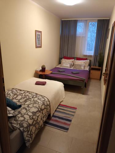 华沙Apartament Pereca 2的酒店客房设有两张床和窗户。