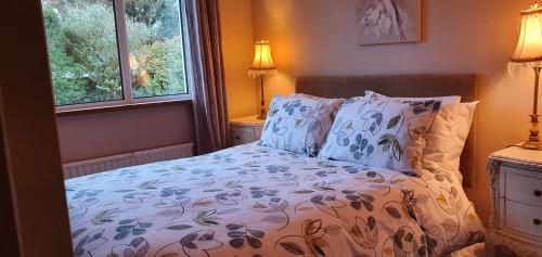 斯莱戈Rosemount的一间卧室设有一张床和两个窗户。