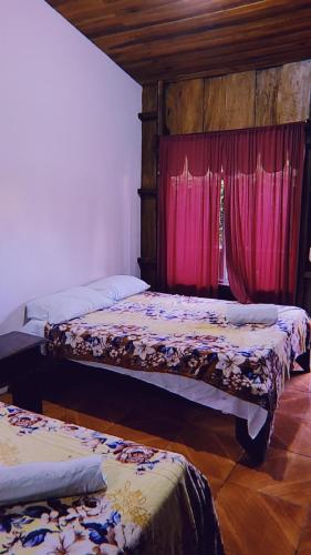 福尔图纳Alpha Arenal的客房设有两张床和窗户。