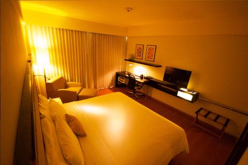 加拉加斯佩斯塔纳加拉加斯高级城市及会议酒店的酒店客房,配有床和电视