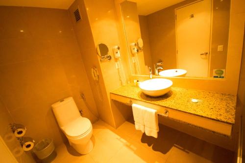 加拉加斯佩斯塔纳加拉加斯高级城市及会议酒店的一间带水槽、卫生间和镜子的浴室