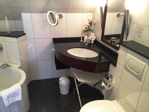 费尔登霍尔野艾克森特酒店的一间带水槽、卫生间和镜子的浴室